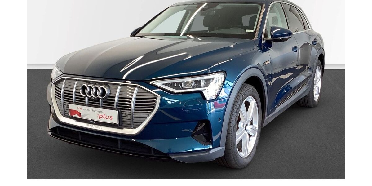 Audi e-tron 43.594 km 32.949 &euro; Mölln 23879