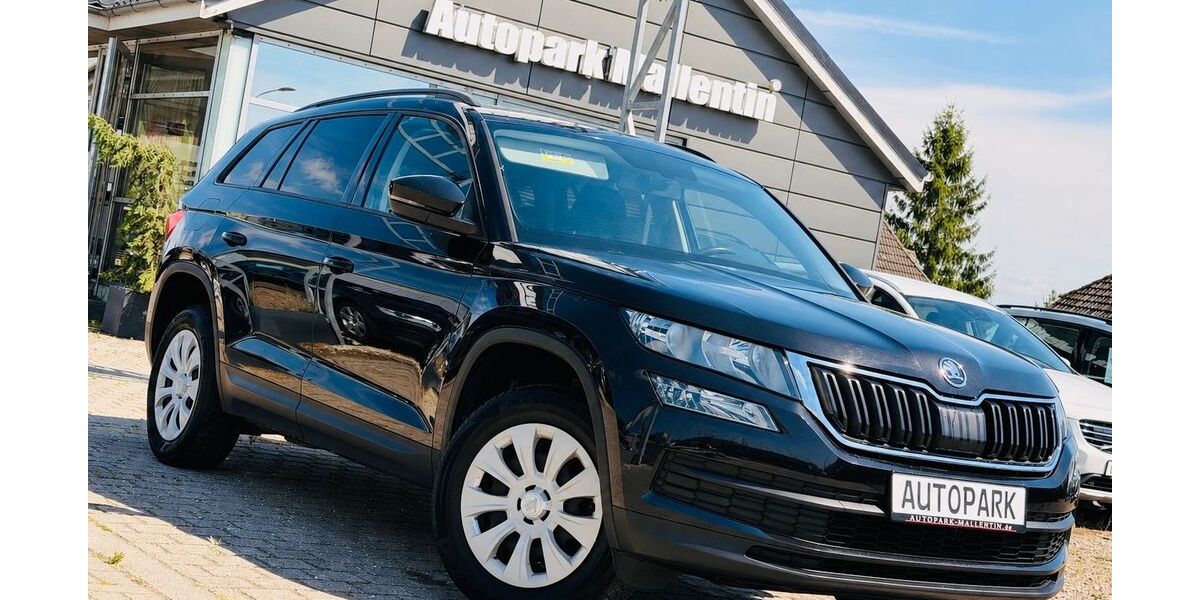 Skoda Kodiaq 96.000 km 18.899 &euro; Stepenitztal 23936